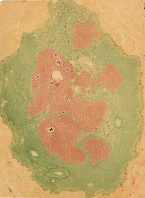 Митрохин Дмитрий Исидорович. Форзац № 5 